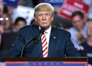 Usa, la "transizione" Trump: i primi passi del presidente eletto
