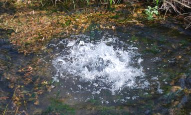 Commissione Ecomafie: Pfas continuano ad inquinare le acque del Veneto