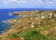 Pantelleria, piantare 10.000 alberi per far rinascere l'isola