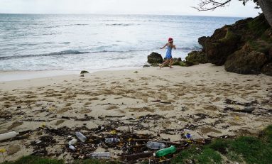 Ambiente, il Mediterraneo è un mare di spazzatura: 60 mila rifiuti presenti