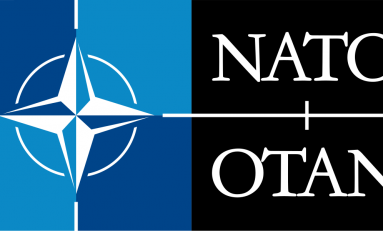 In Parlamento puntano alla Nato: exit strategy per politici a caccia di poltrone
