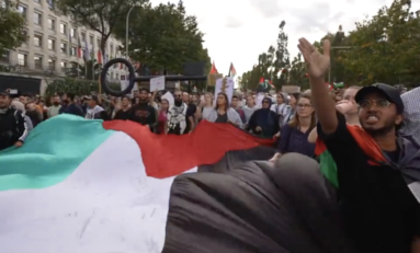 Alla manifestazione pro Palestina i compagni strappano la bandiera di Israele