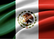 Mexico: el impulso a la vigilancia electoral